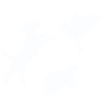 Logo de la vétérinaire Caroline Villin en Blanc